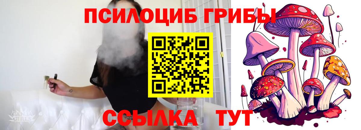 Галлюциногенные грибы прущие грибы  Вход с VPN  Дятьково 